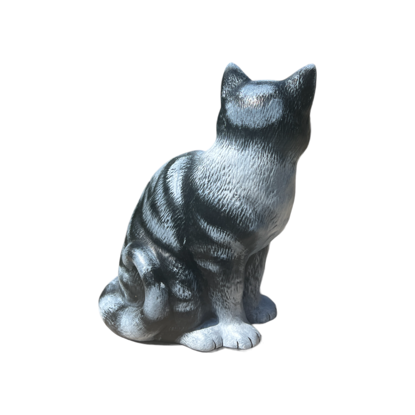 Коте