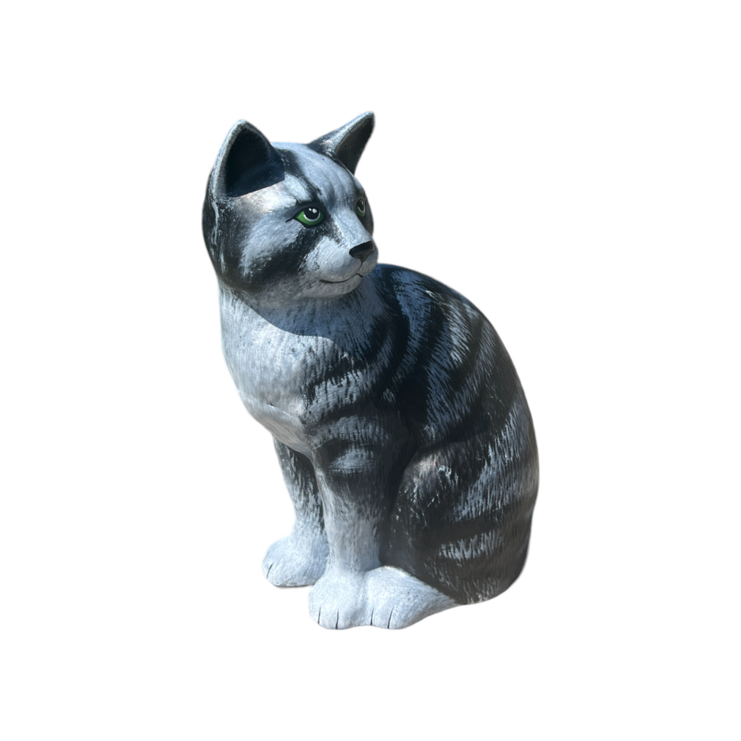 Коте